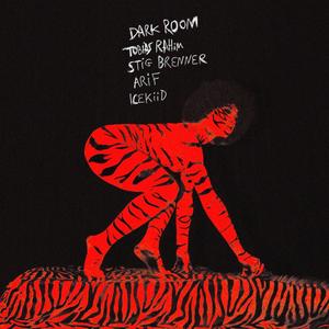 Dark Room REMIX (Tobias Rahim, ICEKIID, Stig Brenner, Arif Murakami) [Explicit]