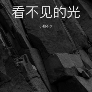 看不见的光