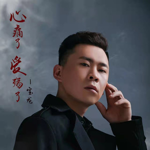 宝龙 - 心痛了爱殇了