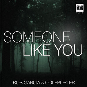 Someone Like You (Radio Edit)