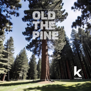 Old The Pine