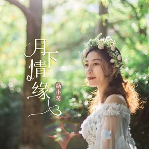 月下情缘 (伴奏)