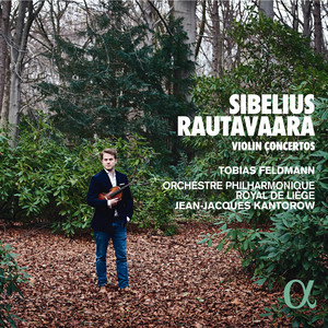 Violin Concerto in D Minor, Op. 47 - Violin Concerto in D Minor, Op. 47: III. Allegro, ma non tanto