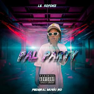 pal party (feat. lilsofoke) [Explicit]