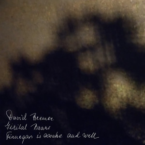 Finnegan is Awake and Well