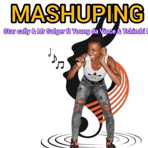 Mashuping (feat. Mr Solger, Young da Vince & Tshimbi Maney)