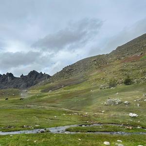 porque ya no vuelves (feat. Ashlyn)