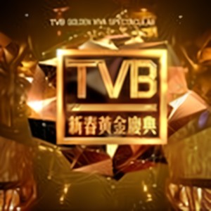 2013年TVB新春黄金庆典