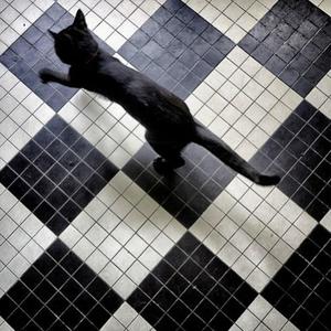 MEINE WELT (Explicit)