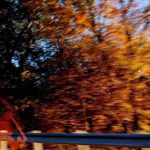 DAMAGE (feat. Goyard Sad Boi & lil XipZ) (Explicit)