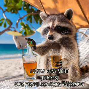 I Love A Rainy Night (Beachside Mix)