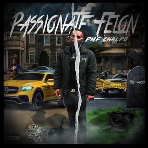 Passionate Felon (Explicit)