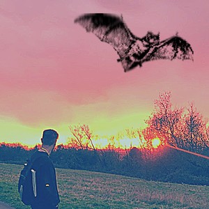 lostmysmile (Explicit)