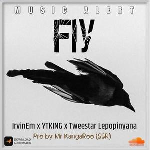 FLY (feat. IrvinEm & YTKING) [Explicit]