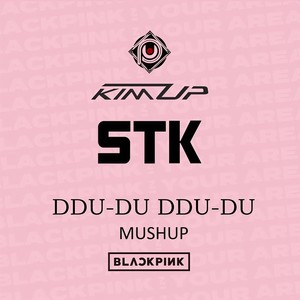 BLACKPINK-DDU-DU DDU-DU(MUSHUP)——STK&KIM UP (KIM UP / STK remix)