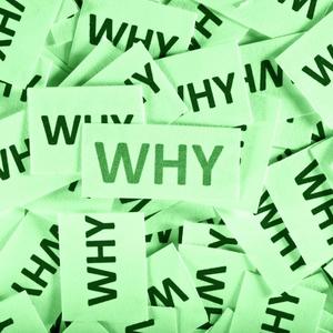 Why Should I (Explicit)