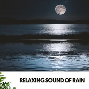 Relaxing Sound of Rain: Melodies from the Raindrops