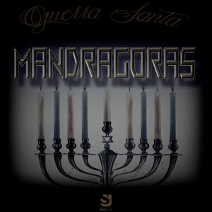 Mandragoras