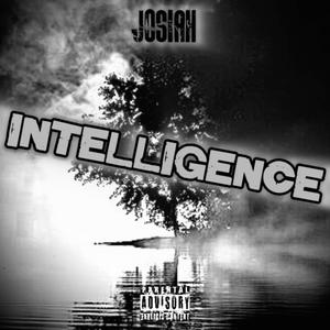 Intelligence (Explicit)