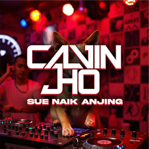 Sue Naik Anjing