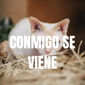 CONMIGO SE VIENEE (Explicit)