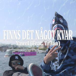 Finns det något kvar (feat. Tr3an & Levelzzz) (Explicit)