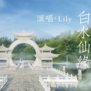 白水仙缘 (Lily泥鳅版)
