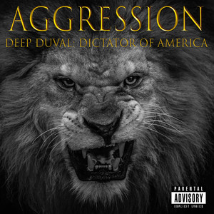 Aggression (Explicit)