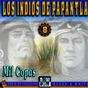 Mil Copas, Vol. 8