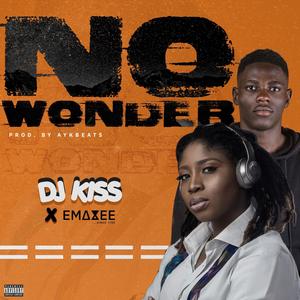 No Wonder (Explicit)