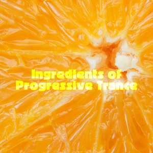 Ingredients of Progressive Trance