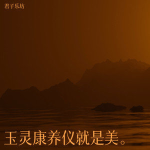 玉灵康养仪就是美