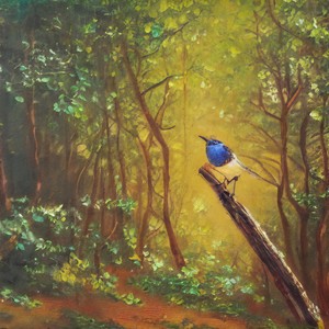 [Free]荆棘鸟 (Inst.Prod by 澜)