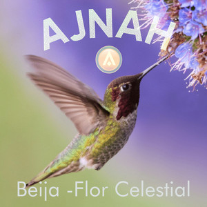 Beija-Flor Celestial (Explicit)