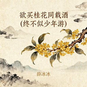 欲买桂花同载酒 (终不似少年游)