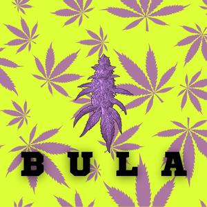 BULA (feat. Majk) [Explicit]