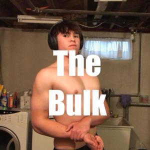 The Bulk