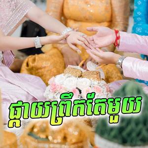 ផ្កាយព្រឹកតែមួយ