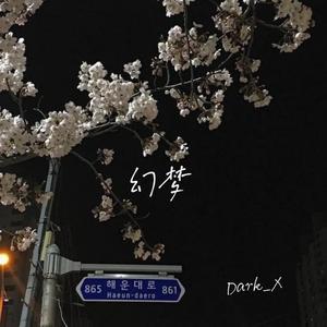 幻梦