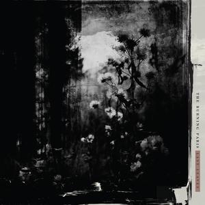 Fairwinds (if there is a light)