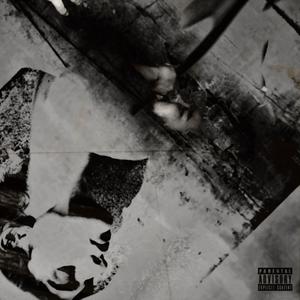 IRRATIONAL (feat. Ryauki & Frenkeo) (Explicit)