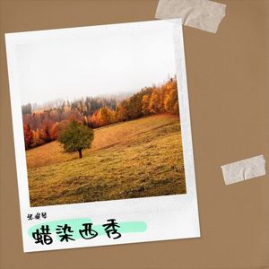 蜡染西秀