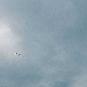 Through the fog (Demo)