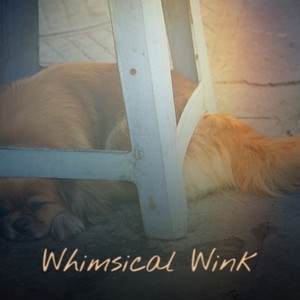 Whimsical Wink