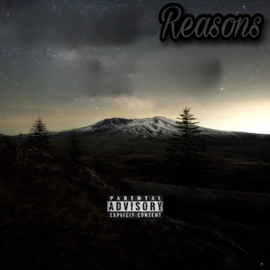 Reasons (Explicit)