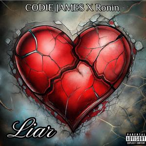 Liar (feat. Ronin) [Explicit]