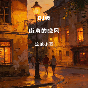 街角的晚风-流浪小哥