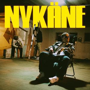 Nykäne (feat. TEKAME. & Kermis)