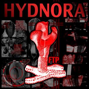 HYDNORA