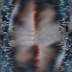 DAHINTER (feat. aveen) (santiago nech Remix)